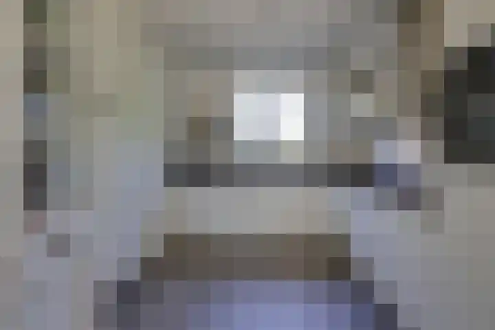 Kleine Veenbes 2 Wehl thumbnail 16