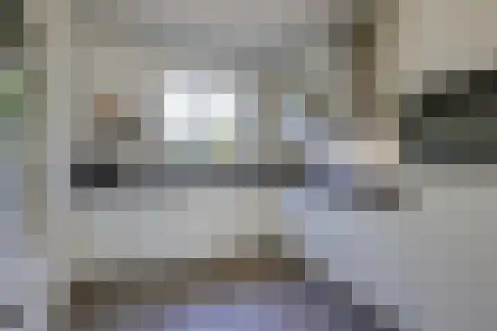 Kleine Veenbes 2 Wehl thumbnail 17
