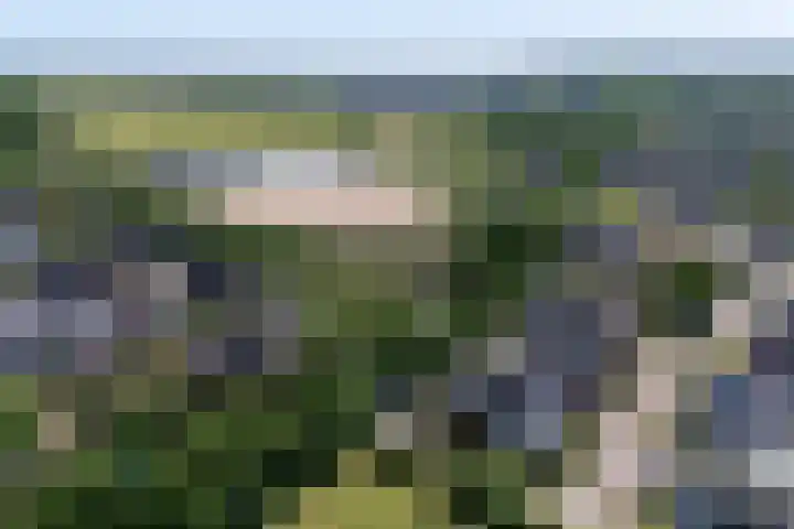 Kleine Veenbes 2 Wehl foto 2