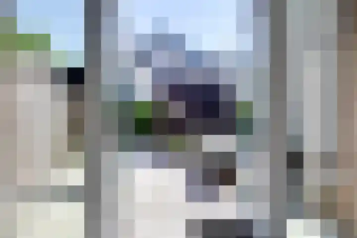 Kleine Veenbes 2 Wehl thumbnail 21