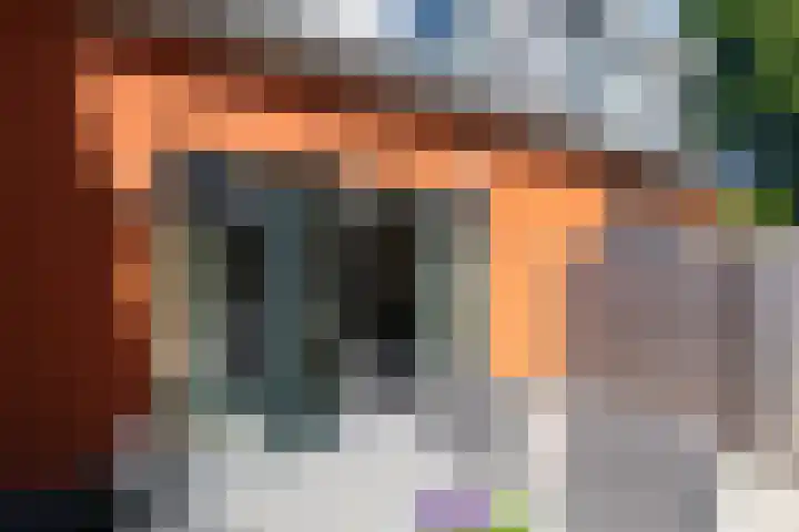 Kleine Veenbes 2 Wehl thumbnail 22