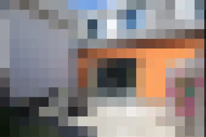 Kleine Veenbes 2 Wehl thumbnail 23