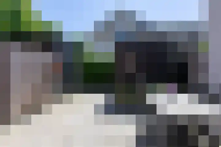 Kleine Veenbes 2 Wehl thumbnail 24