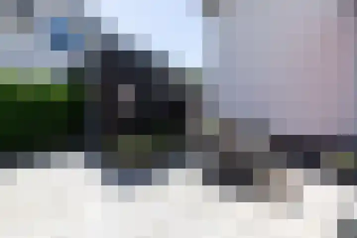 Kleine Veenbes 2 Wehl thumbnail 26