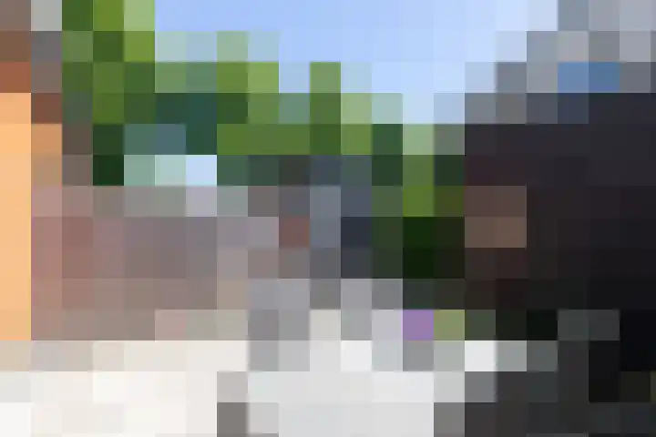 Kleine Veenbes 2 Wehl thumbnail 27