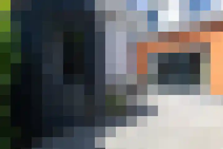 Kleine Veenbes 2 Wehl thumbnail 28
