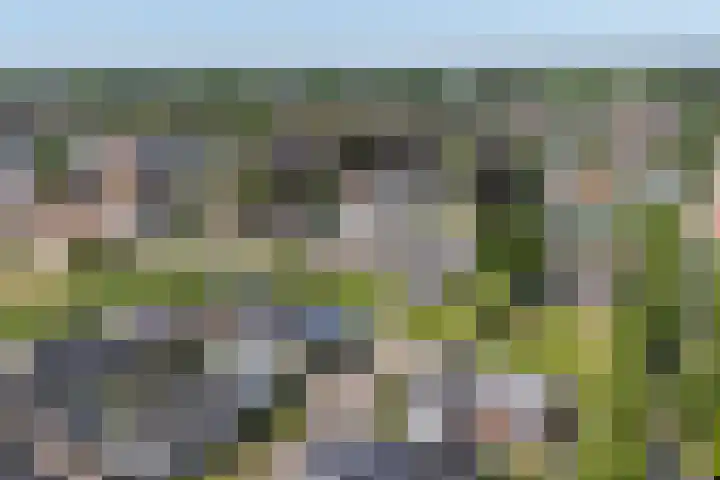 Kleine Veenbes 2 Wehl foto 3