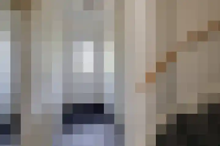 Kleine Veenbes 2 Wehl thumbnail 30