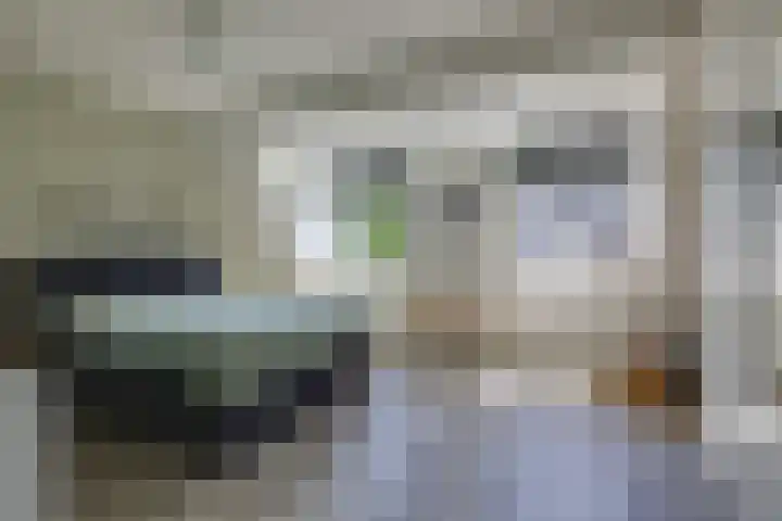 Kleine Veenbes 2 Wehl thumbnail 33