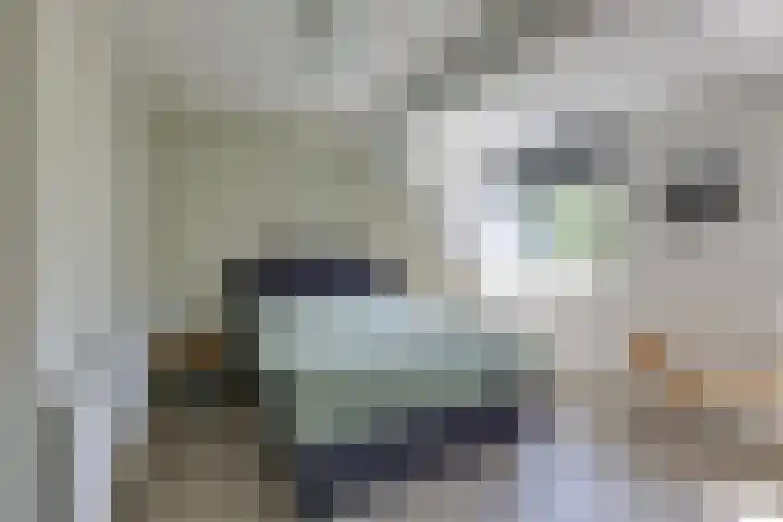 Kleine Veenbes 2 Wehl thumbnail 34