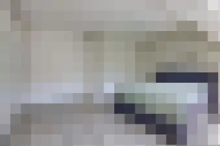 Kleine Veenbes 2 Wehl thumbnail 35