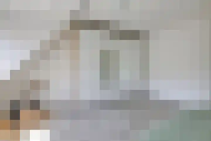 Kleine Veenbes 2 Wehl thumbnail 36