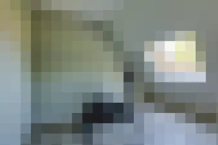 Kleine Veenbes 2 Wehl thumbnail 37