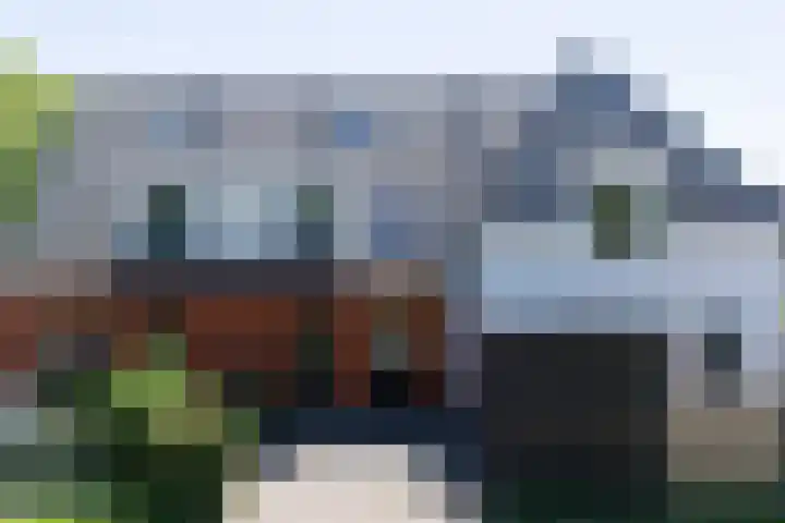 Kleine Veenbes 2 Wehl thumbnail 4