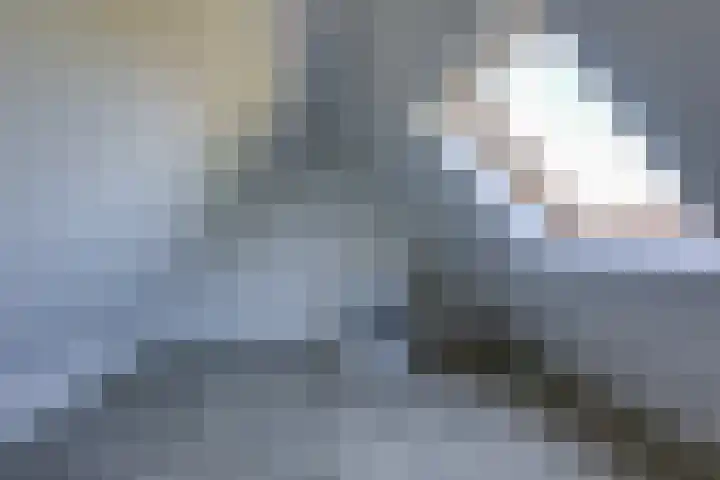 Kleine Veenbes 2 Wehl thumbnail 44
