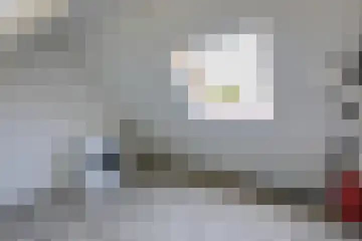 Kleine Veenbes 2 Wehl thumbnail 45