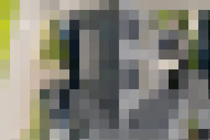 Kleine Veenbes 2 Wehl thumbnail 46