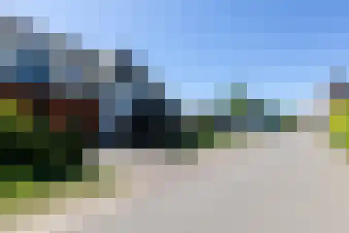 Kleine Veenbes 2 Wehl thumbnail 50