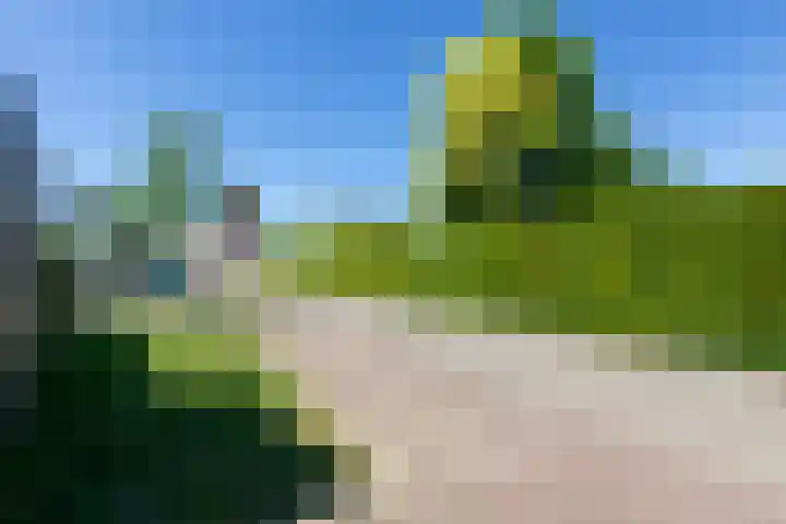 Kleine Veenbes 2 Wehl thumbnail 51