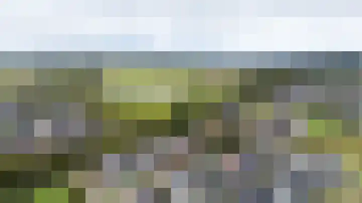 Kleine Veenbes 6 Wehl thumbnail 10