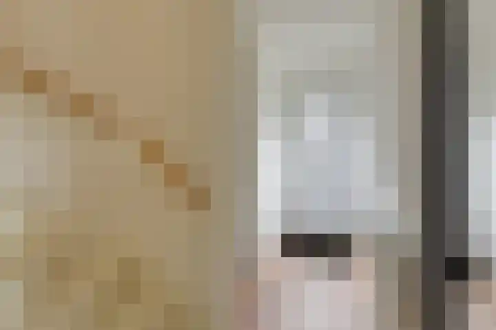 Kleine Veenbes 6 Wehl thumbnail 14