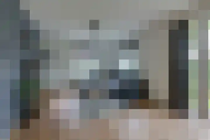 Kleine Veenbes 6 Wehl thumbnail 18