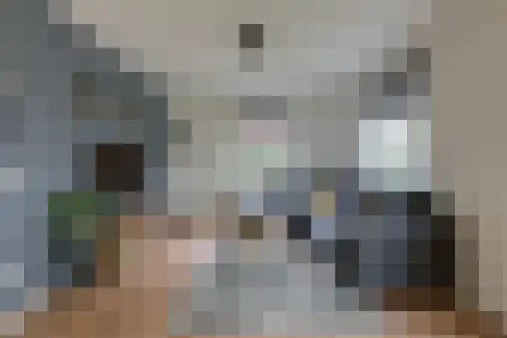 Kleine Veenbes 6 Wehl thumbnail 19