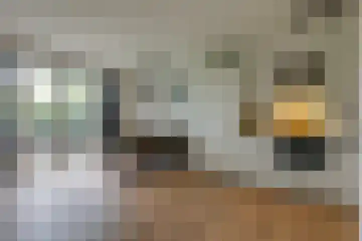 Kleine Veenbes 6 Wehl thumbnail 22