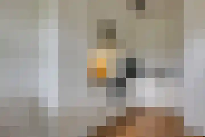 Kleine Veenbes 6 Wehl thumbnail 24
