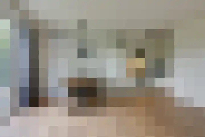 Kleine Veenbes 6 Wehl thumbnail 25