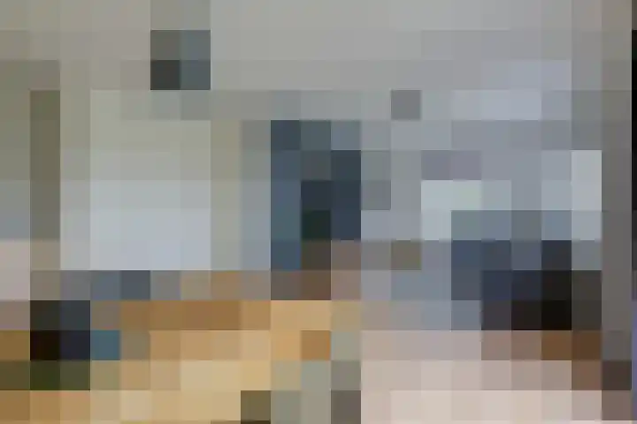 Kleine Veenbes 6 Wehl thumbnail 26