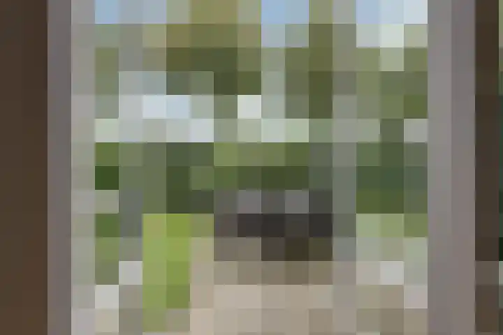 Kleine Veenbes 6 Wehl thumbnail 27