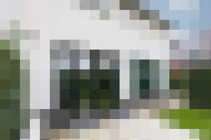 Kleine Veenbes 6 Wehl thumbnail 28