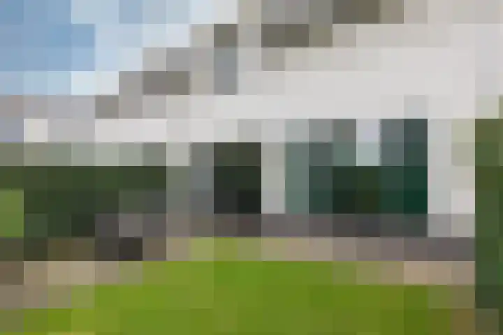 Kleine Veenbes 6 Wehl thumbnail 29