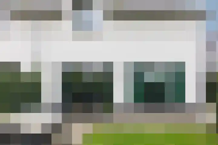 Kleine Veenbes 6 Wehl foto 3