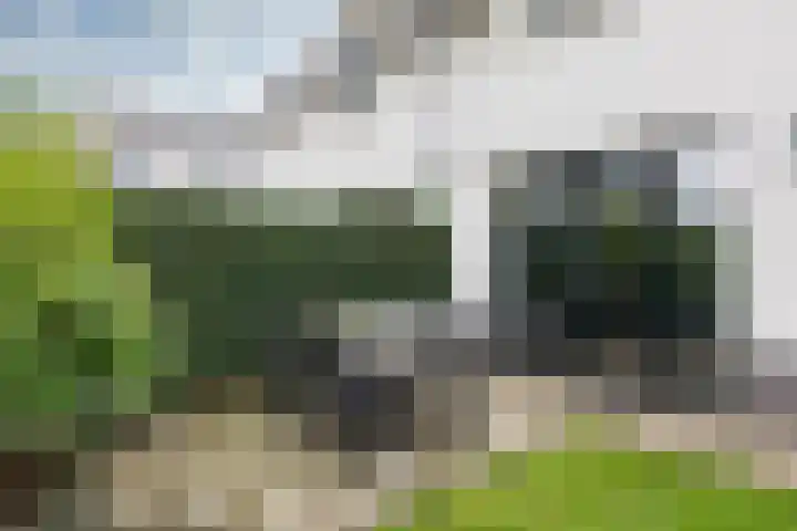Kleine Veenbes 6 Wehl thumbnail 30
