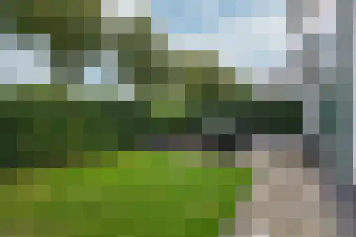 Kleine Veenbes 6 Wehl thumbnail 31