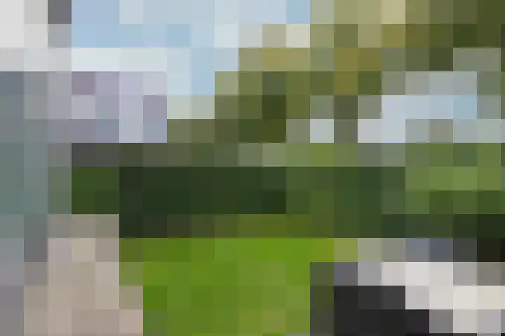 Kleine Veenbes 6 Wehl thumbnail 32