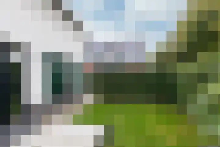 Kleine Veenbes 6 Wehl thumbnail 33