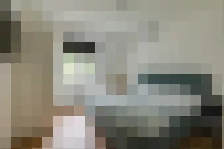 Kleine Veenbes 6 Wehl thumbnail 36
