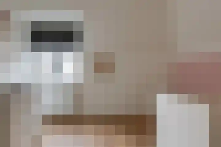 Kleine Veenbes 6 Wehl thumbnail 39