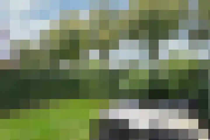 Kleine Veenbes 6 Wehl thumbnail 4