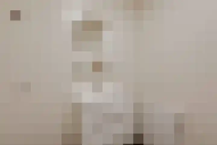 Kleine Veenbes 6 Wehl thumbnail 45