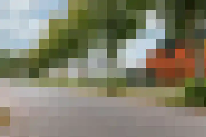 Kleine Veenbes 6 Wehl thumbnail 46