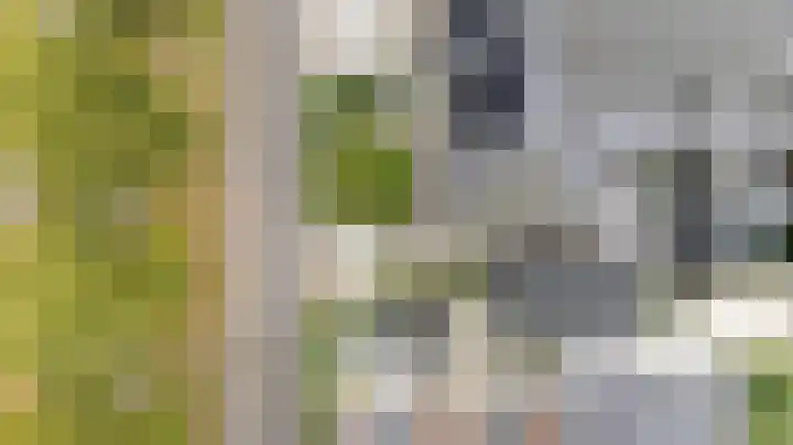 Kleine Veenbes 6 Wehl thumbnail 5