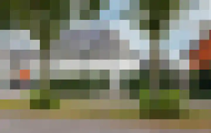 Kleine Veenbes 6 Wehl thumbnail 51