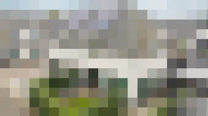 Kleine Veenbes 6 Wehl thumbnail 8