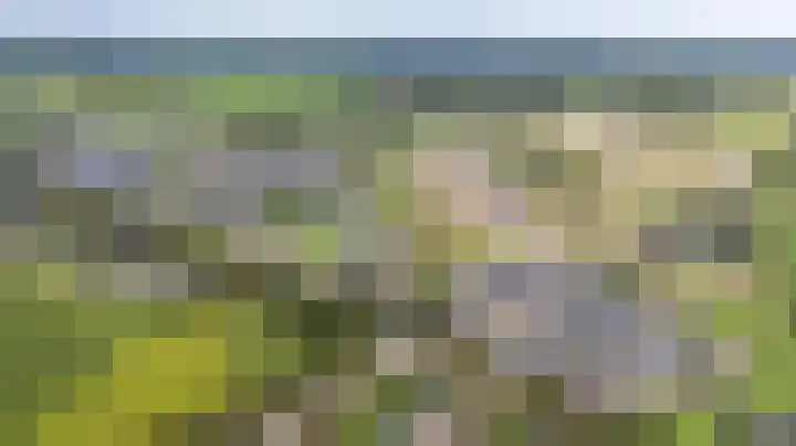 Kleine Veenbes 6 Wehl thumbnail 9