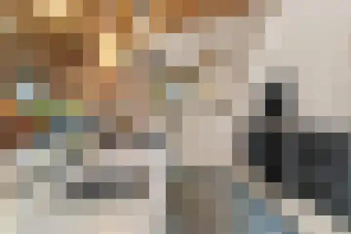 Kleine Veenkade 10 Den Haag thumbnail 18