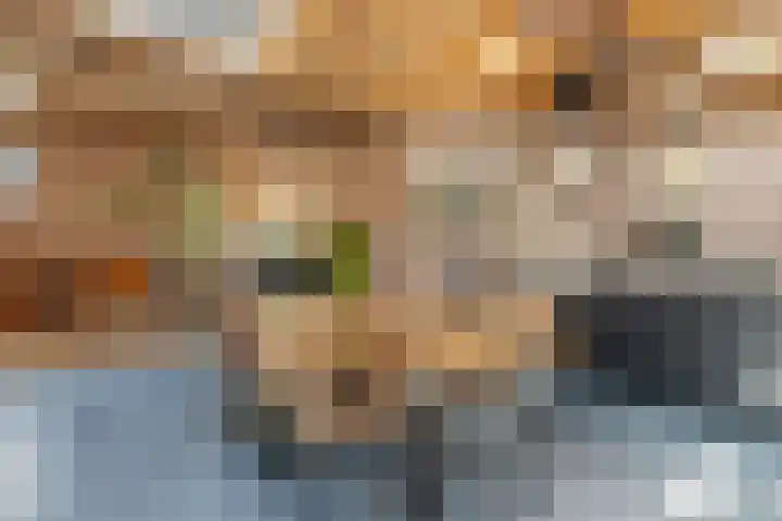 Kleine Veenkade 10 Den Haag thumbnail 21